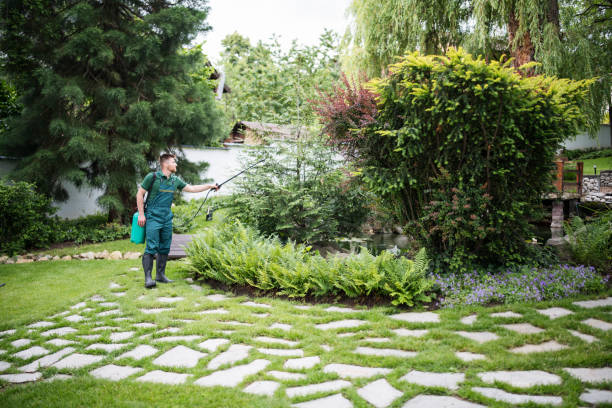 Best Wildlife Control Services  in Gig Harbor, WA