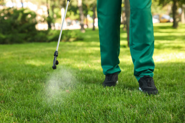Best Exterminator Services  in Gig Harbor, WA