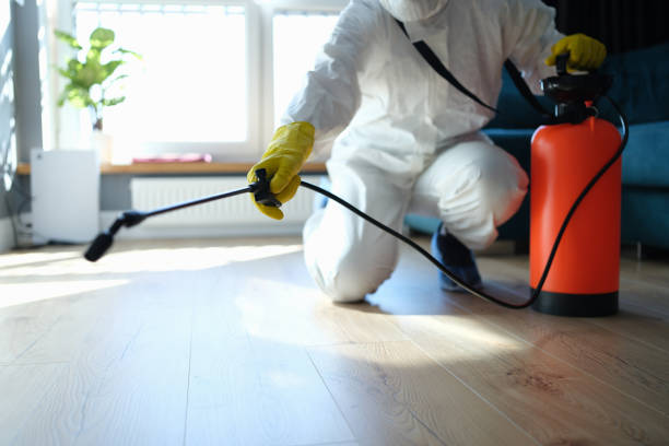 Best Flea Control Services  in Gig Harbor, WA