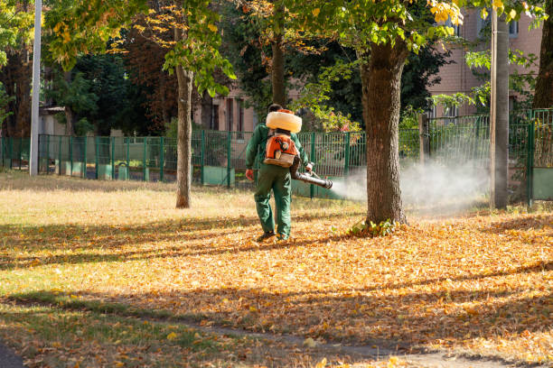 Best Termite Control Services  in Gig Harbor, WA