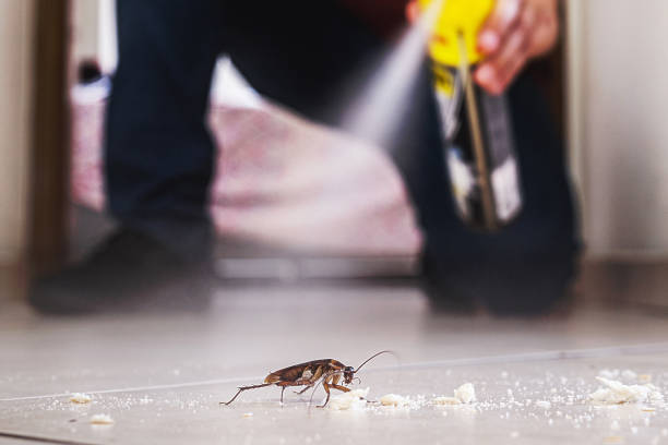  Gig Harbor, WA Pest Control Pros