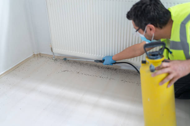 Best Cockroach Control Services  in Gig Harbor, WA