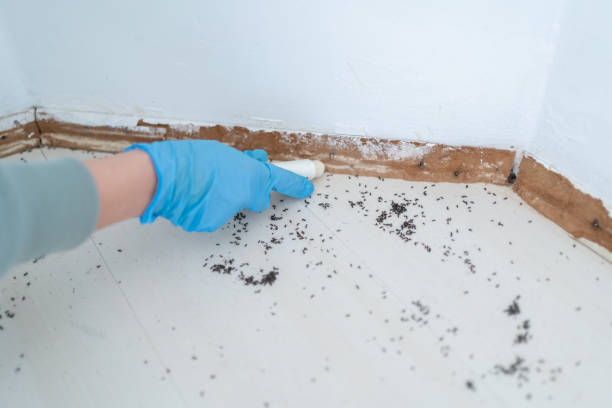 Pest Control for Restaurants in Gig Harbor, WA
