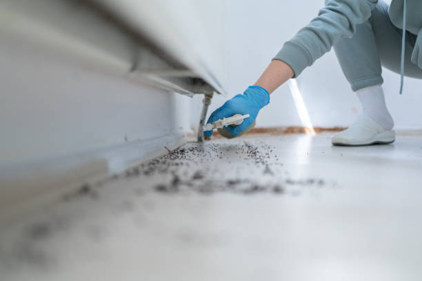 Insect Control in Gig Harbor, WA